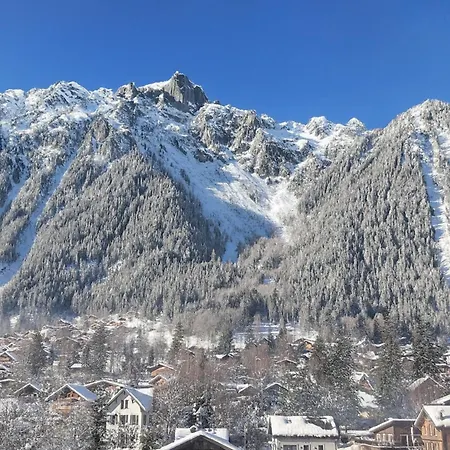 Appartement Le Balcon Du Brevent - Happy